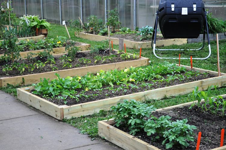 Gardening Builds Self-Esteem: Unfolding The 7 truths