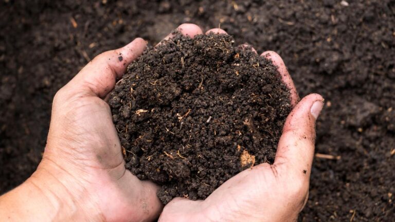 Preparing Garden Soil for Planting: Soil Amendments, pH, Nutrients, and More